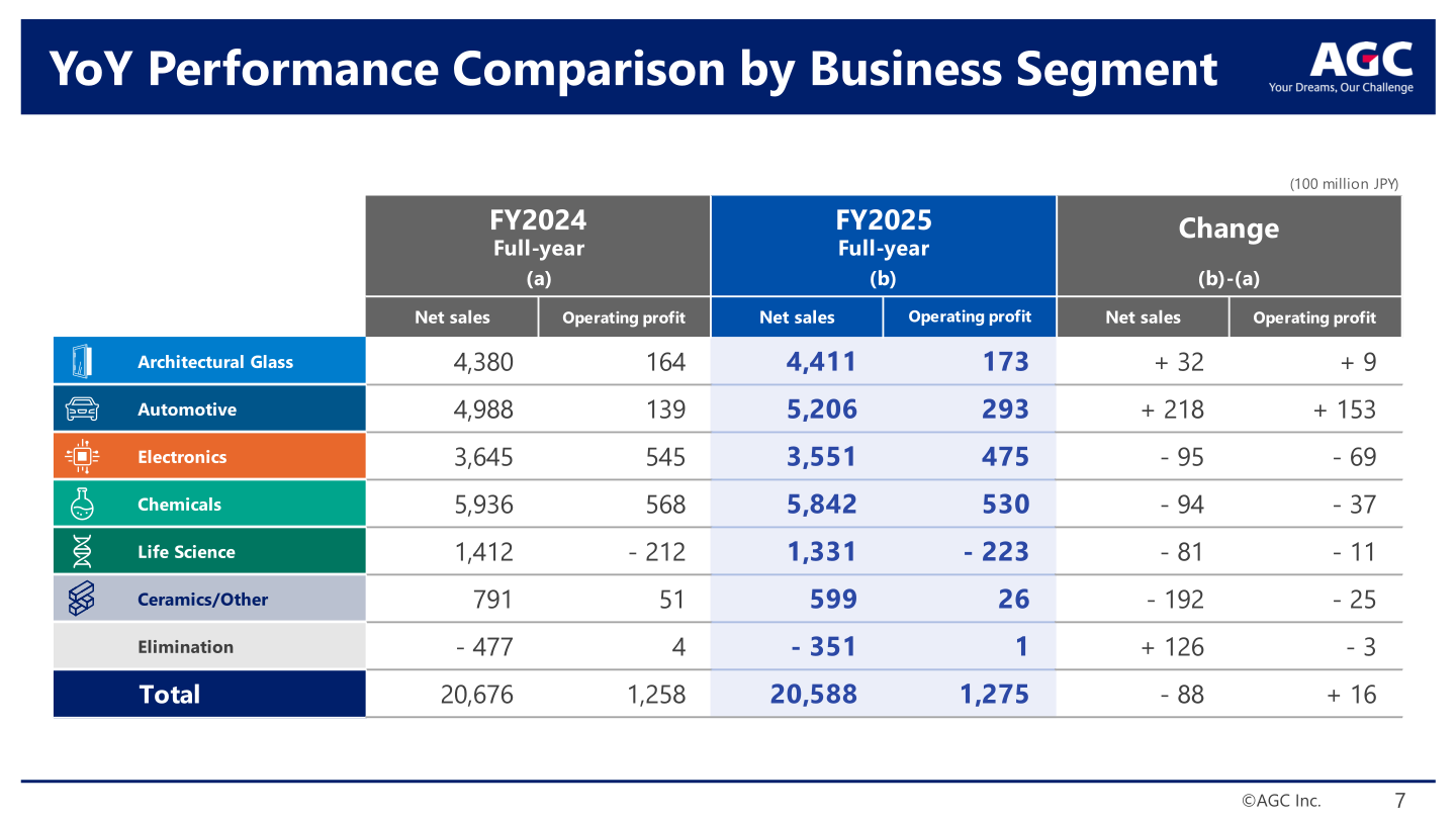 YoY performance comparison by business segment for FY2025 vs FY2024