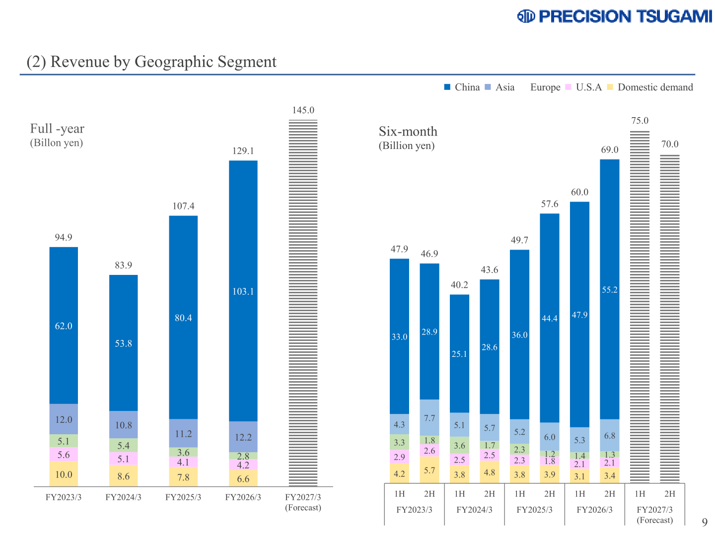 Tsugami revenue by geographic segment, full-year and six-month