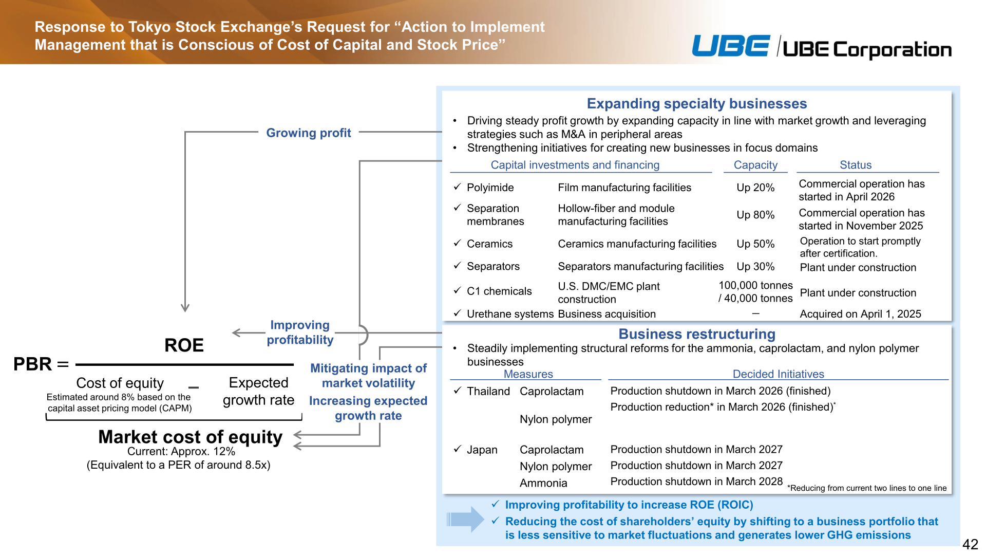 Capacity expansion investments in specialty businesses and restructuring schedule for caprolactam, nylon polymer, and ammonia