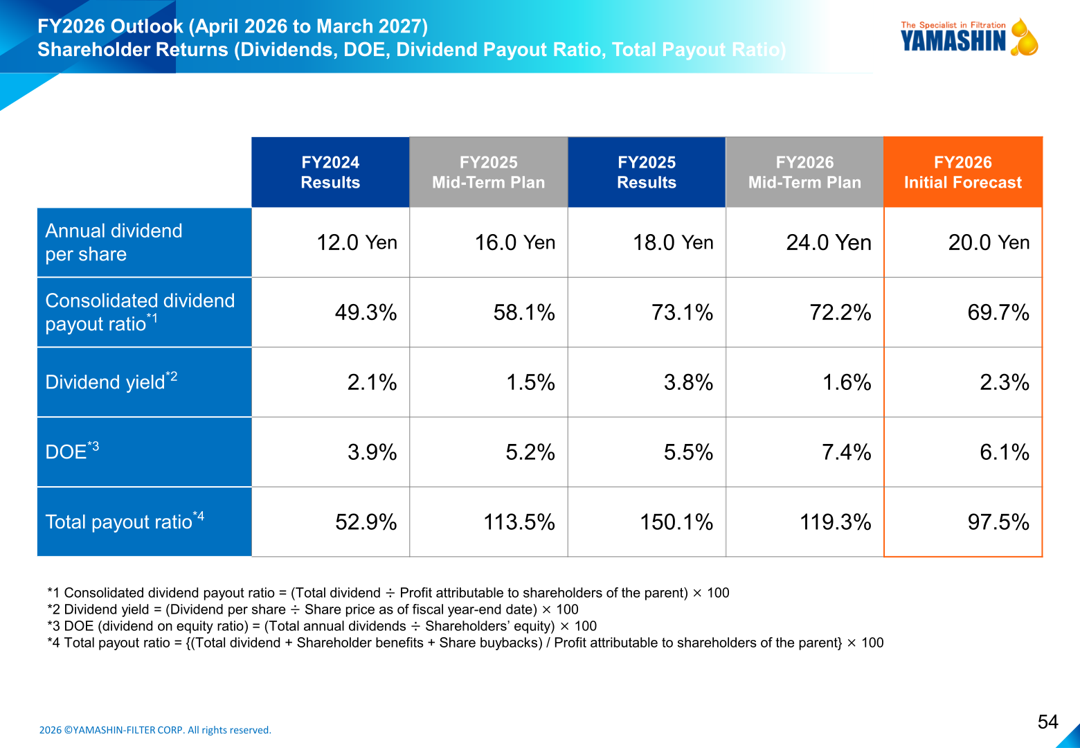 Shareholder returns table covering dividends, DOE and payout ratios