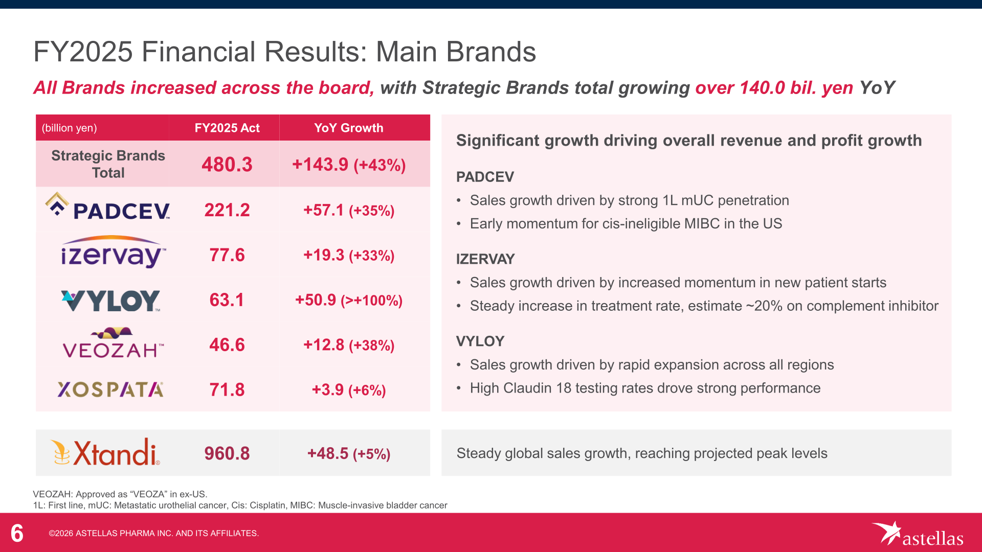 FY2025 revenue by main brand: XTANDI Total and Strategic Brands Total with PADCEV, IZERVAY, VYLOY, VEOZAH and XOSPATA breakdown