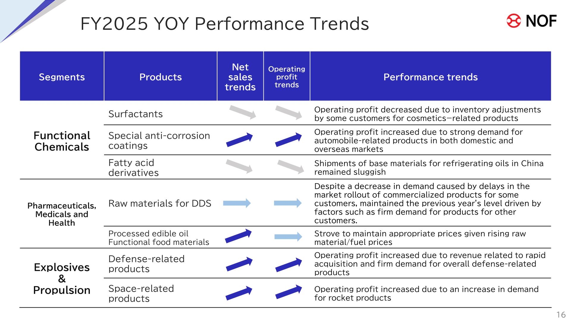 FY2025 year-on-year performance trends by segment and product category, including surfactants, special anti-corrosion coatings, raw materials for DDS, and defense- and space-related products