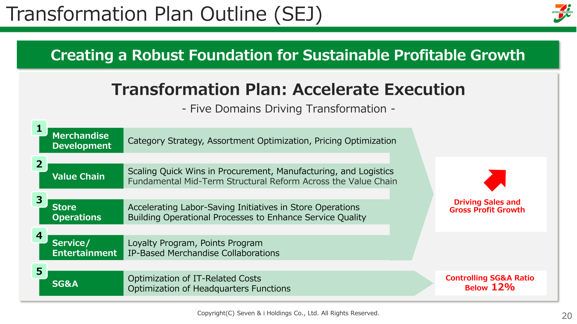 Diagram of the SEJ Transformation Plan outline showing five domains driving transformation
