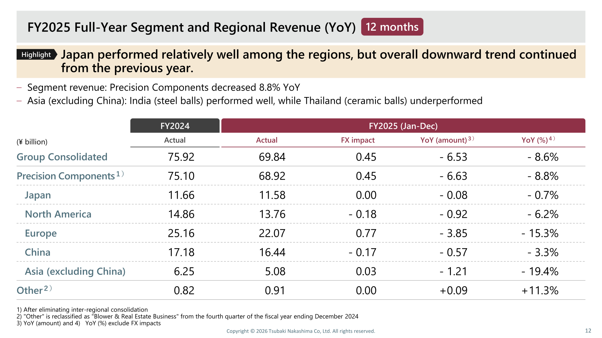 FY2025 full-year segment and regional revenue table with year-on-year comparison