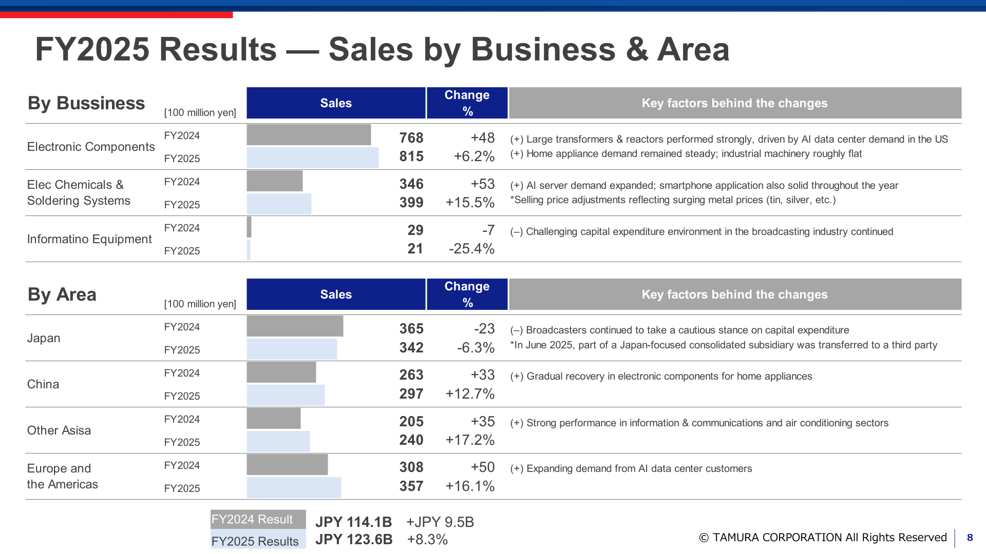 FY2025 sales by business and area with bar charts and key factors behind the changes