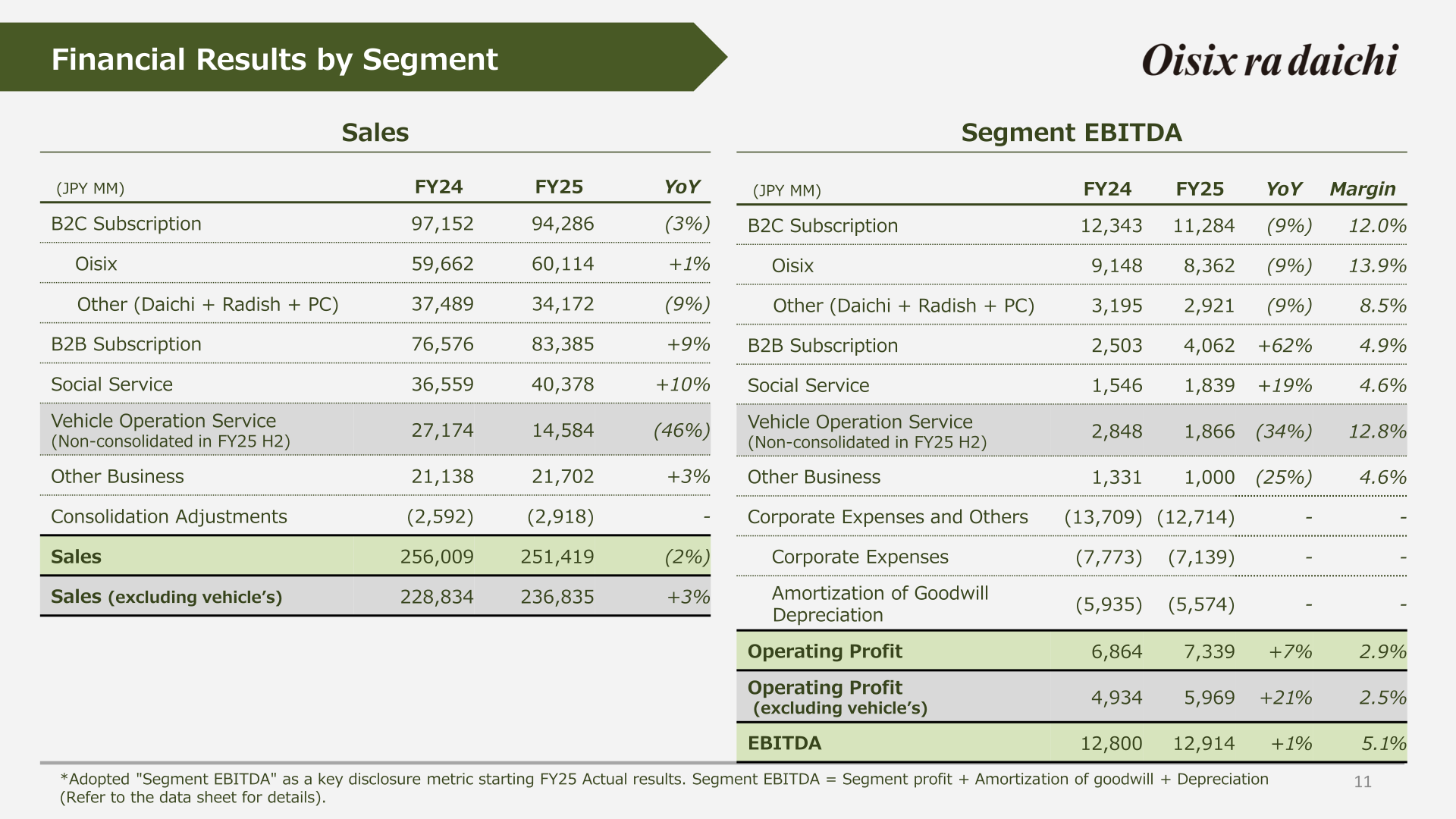Financial results by segment: sales and Segment EBITDA by business for FY24 and FY25