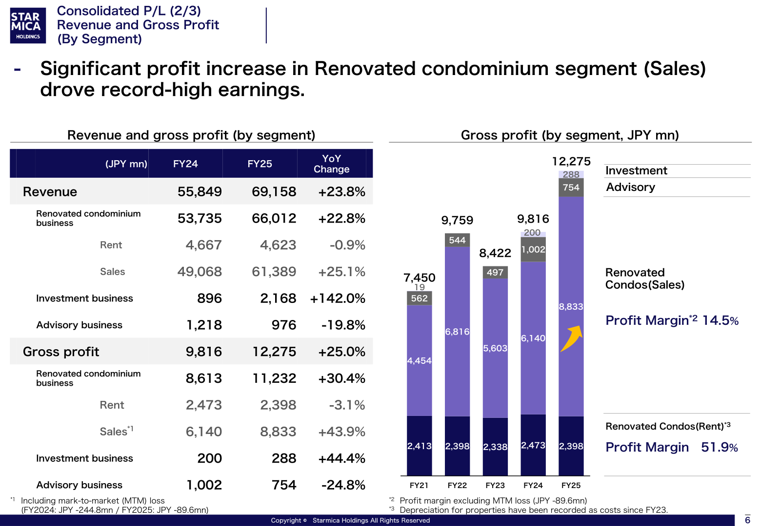 Consolidated P/L — revenue and gross profit by segment, FY2024 vs FY2025